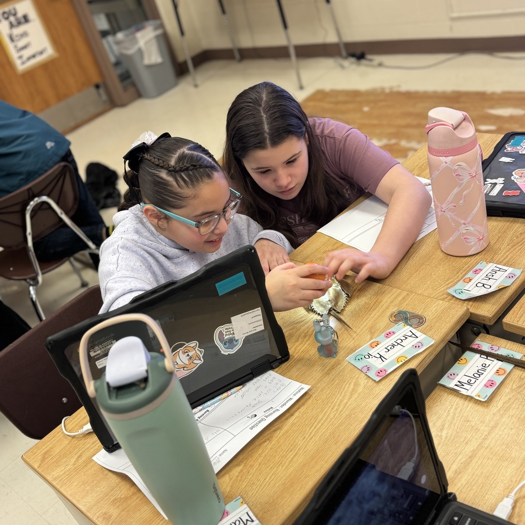 girls looking at horshoe crab