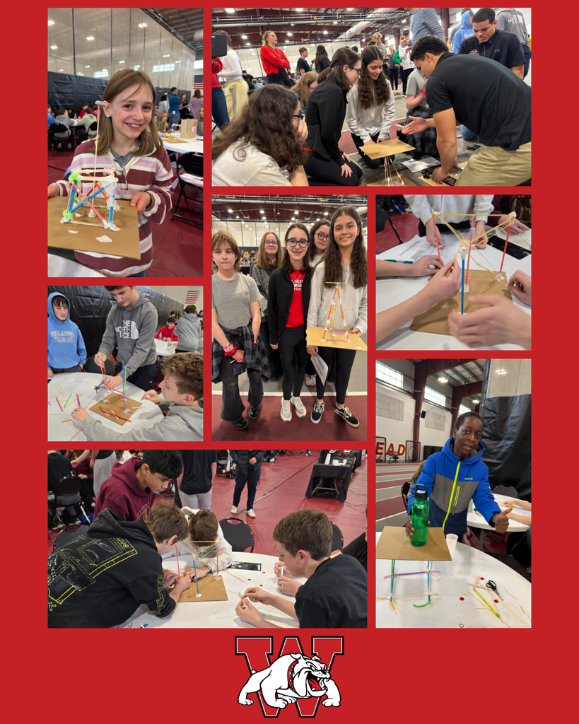 a collage of photos of kids working together and building structures with straws, rubber bands and other items with a logo and the bottom of the collage along with a red backround