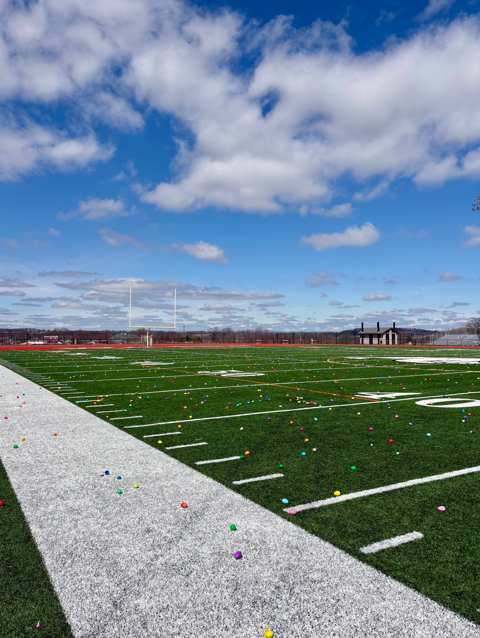 easter eggs on the field with blue sky in background