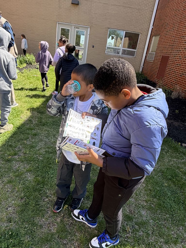 boys looking into cup with bug and reading paper