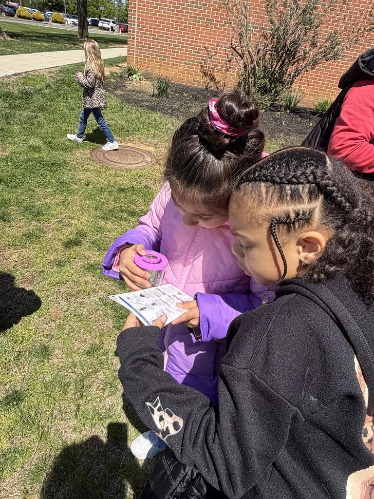 two girls  looking at paper together that has  bugs on it