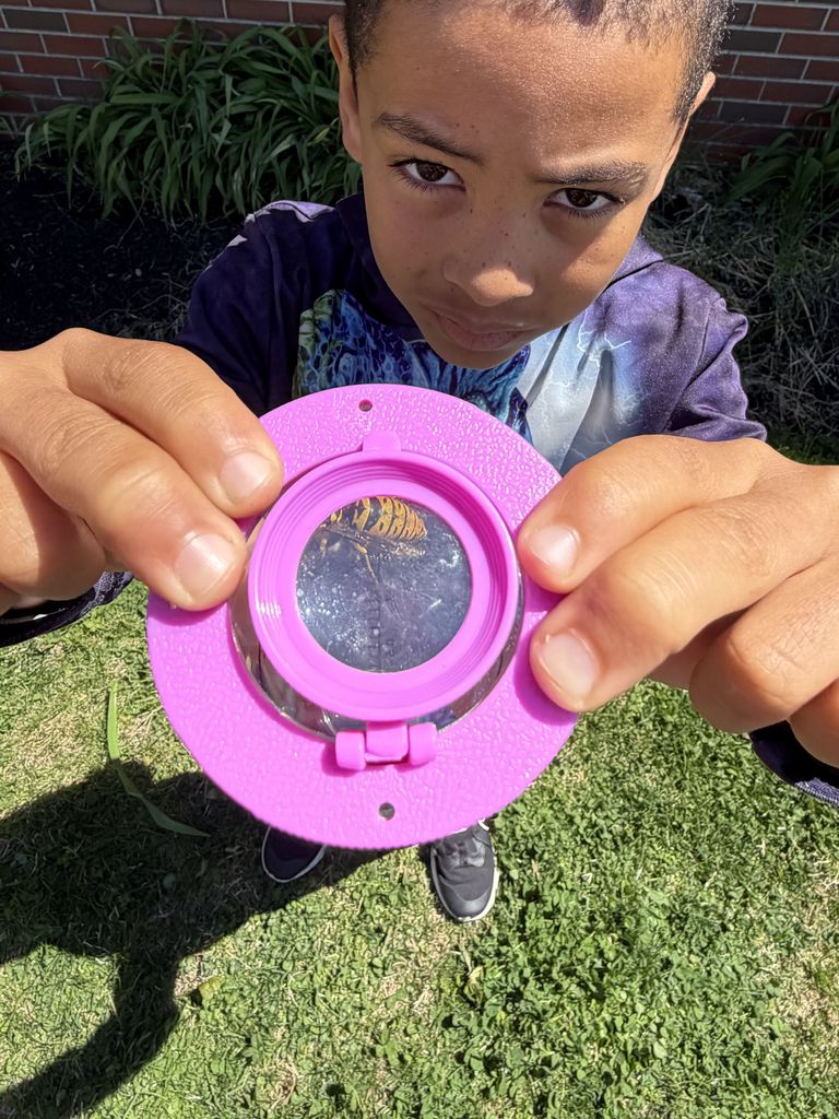 student holding container that has bug in it up to camera