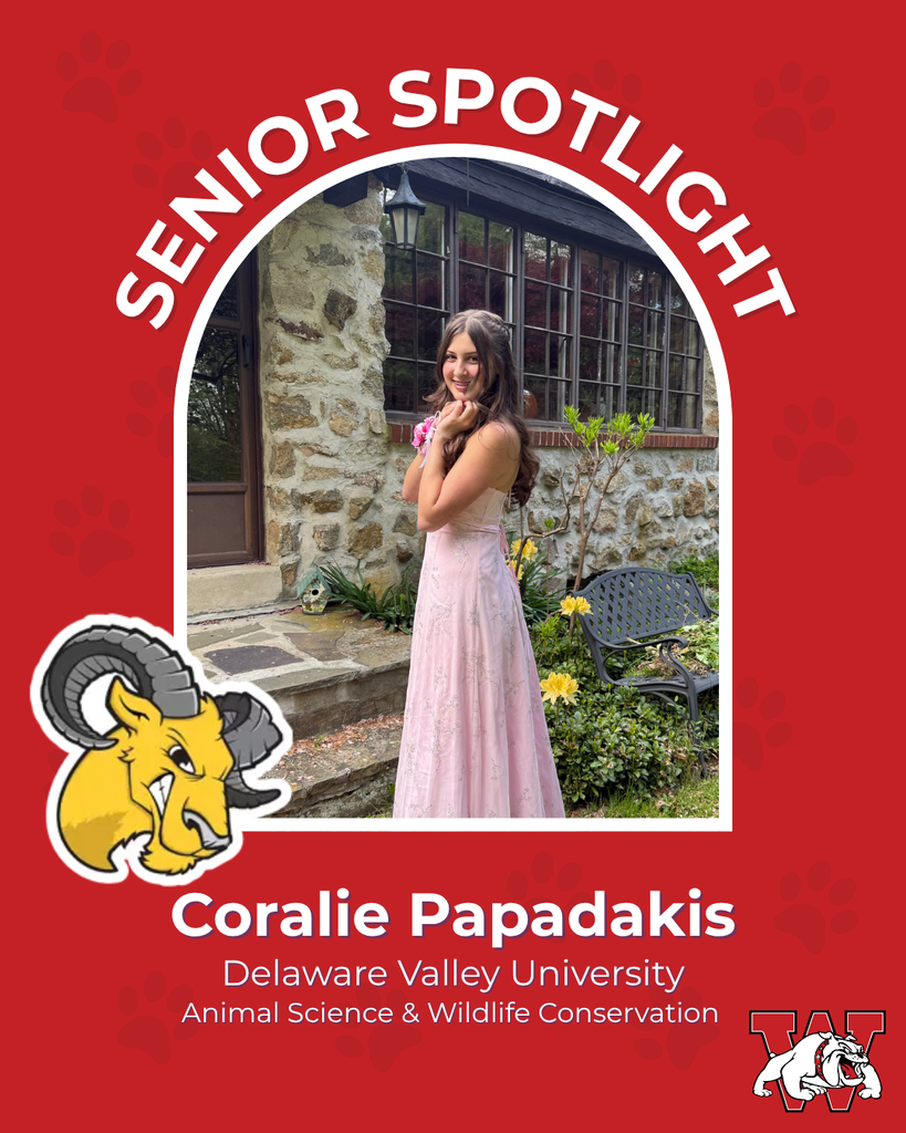 red graphic with paw prints with a students photo in the middle with their college logo in the corner along with their major and then a wilson logo on the other corner coralie papadakis delaware valley university animal science and wildlife conservation