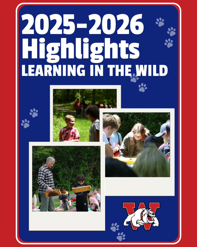 2025-2026 highlights learning in the wild