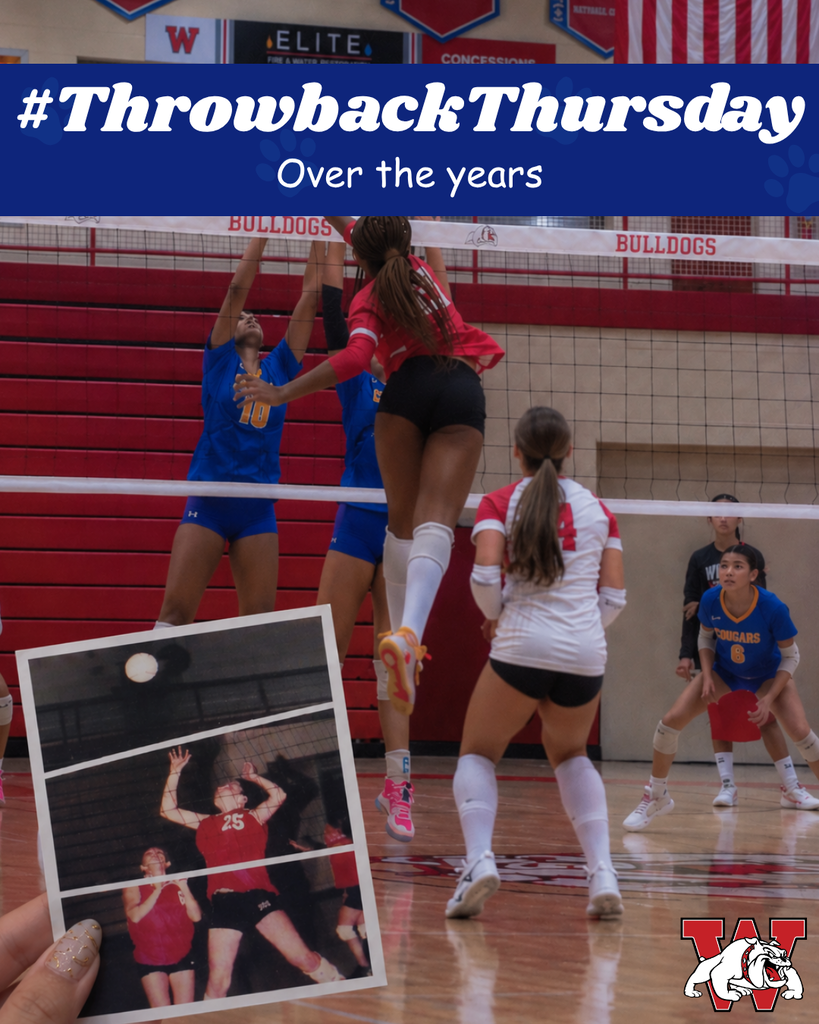 The graphic shows a volleyball “#ThrowbackThursday” post featuring a current volleyball game and a historic volleyball photo held in the foreground. The headline reads “#ThrowbackThursday,” with “Over the years” beneath it. The image also includes the Wilson Bulldogs logo in the bottom-right corner.