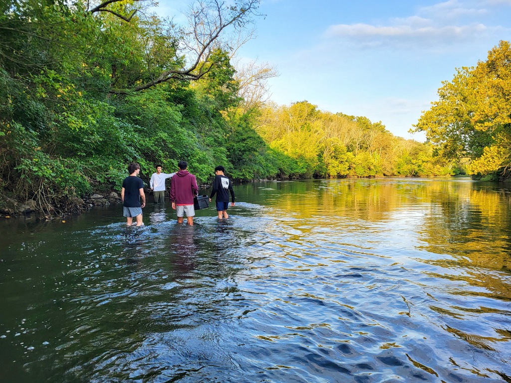students walking through creek