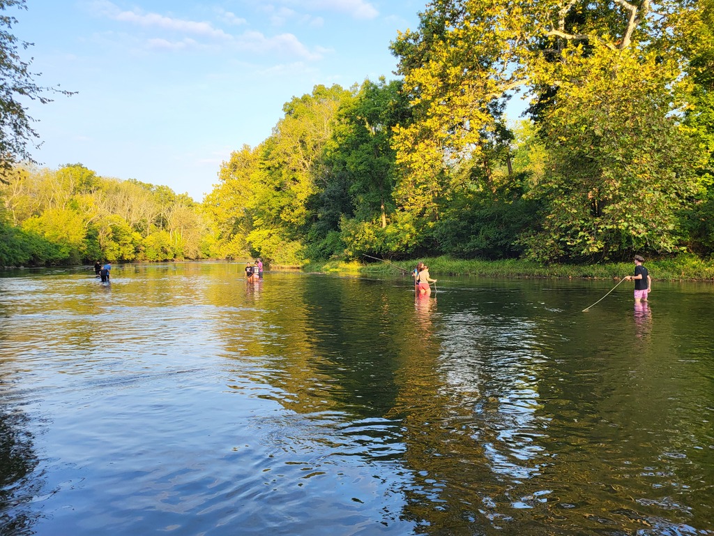 students in creek from a distance
