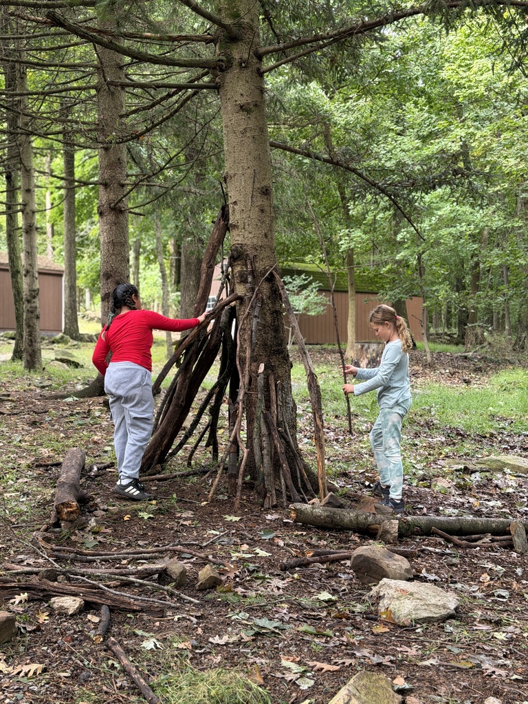 students building tree house