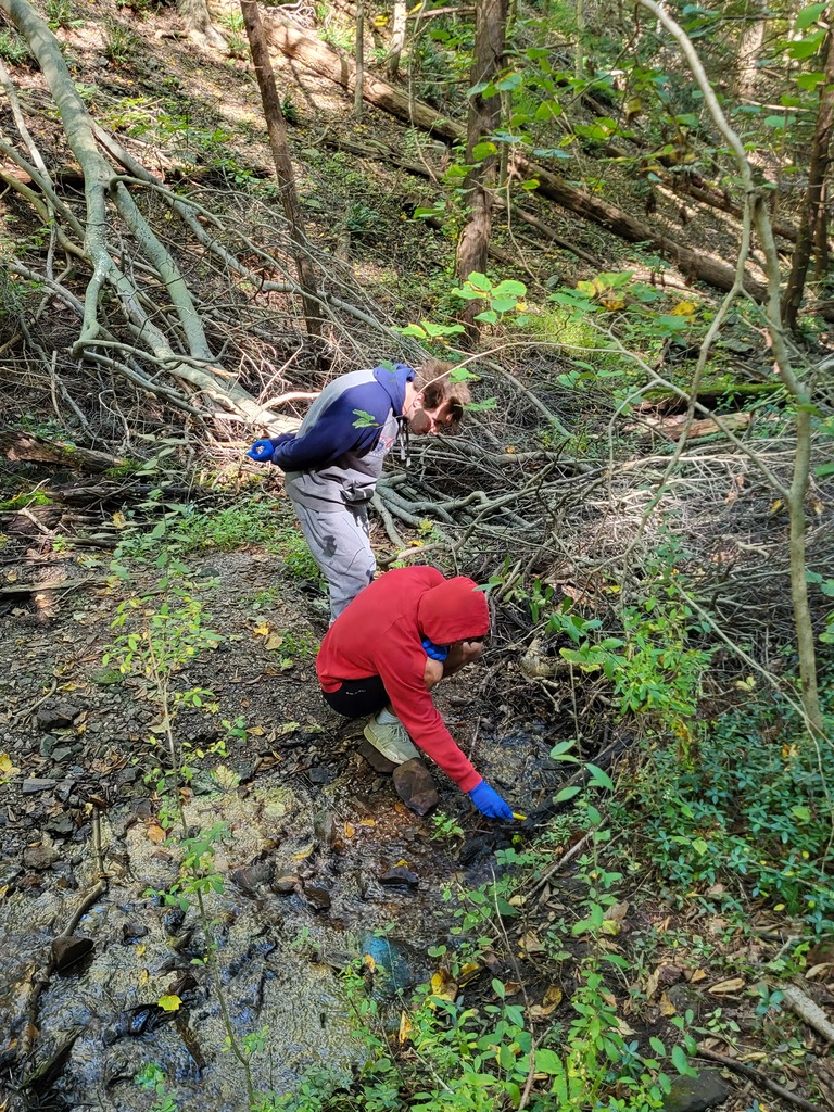 students in creek in forest