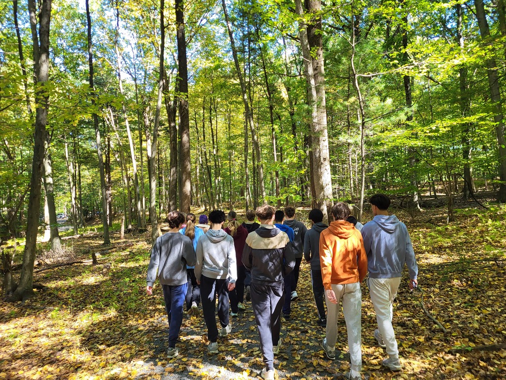 students walking through forest