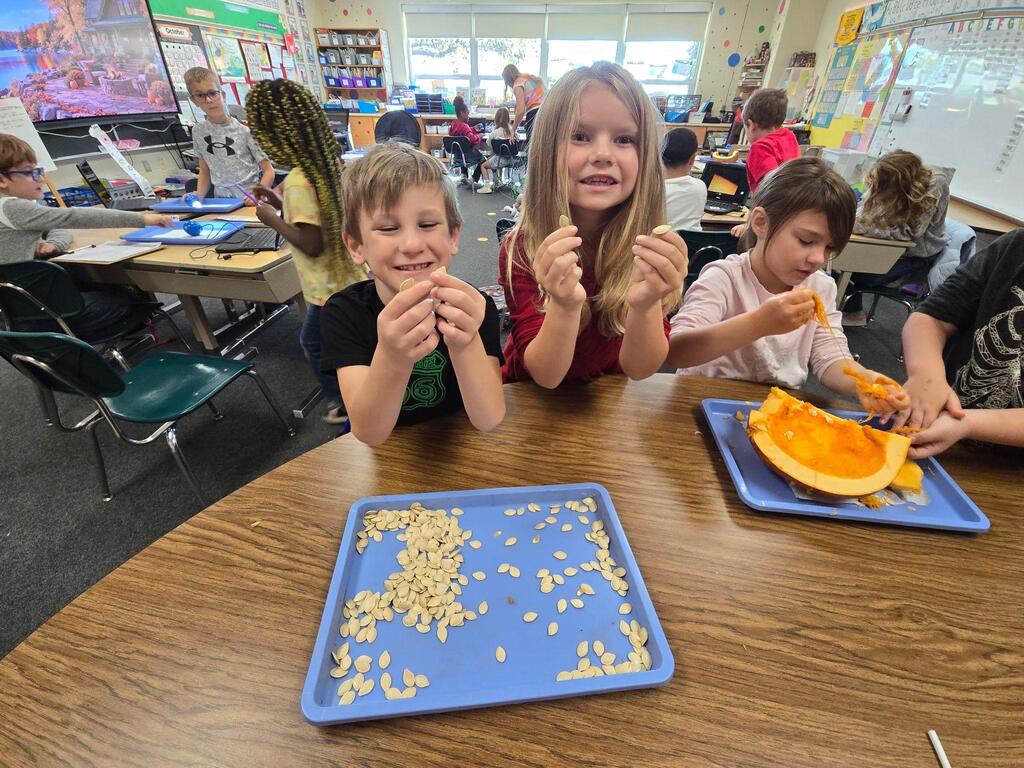 students looking at pumpkin seeds