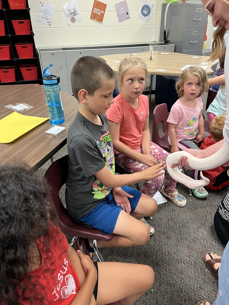 Petting a snake from the zoo.