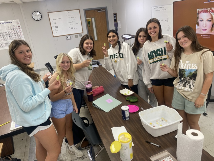 Cucumbers and Chemistry