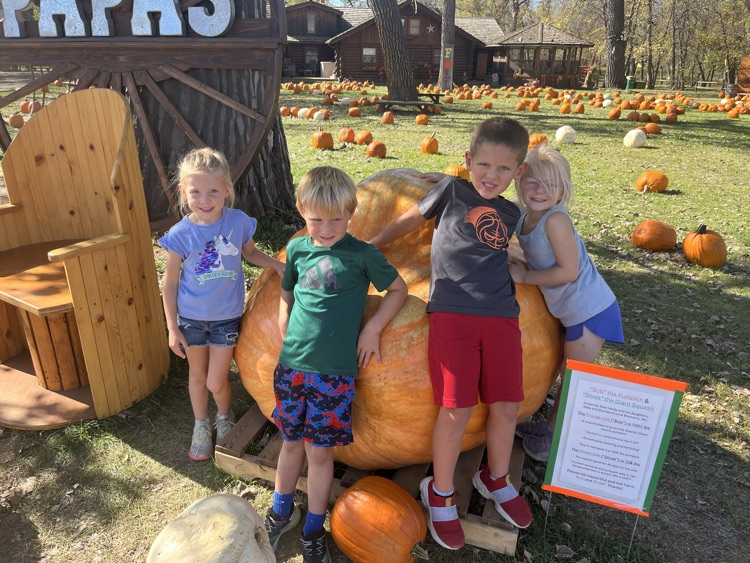 giant pumpkin