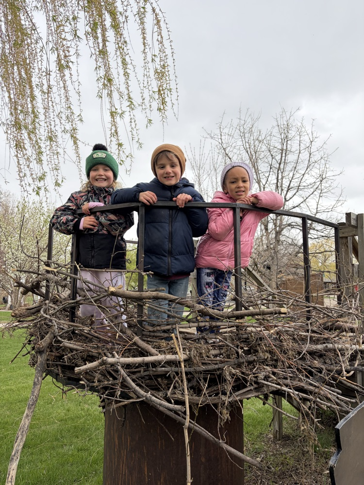 nest