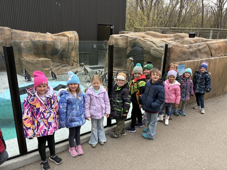 penguins