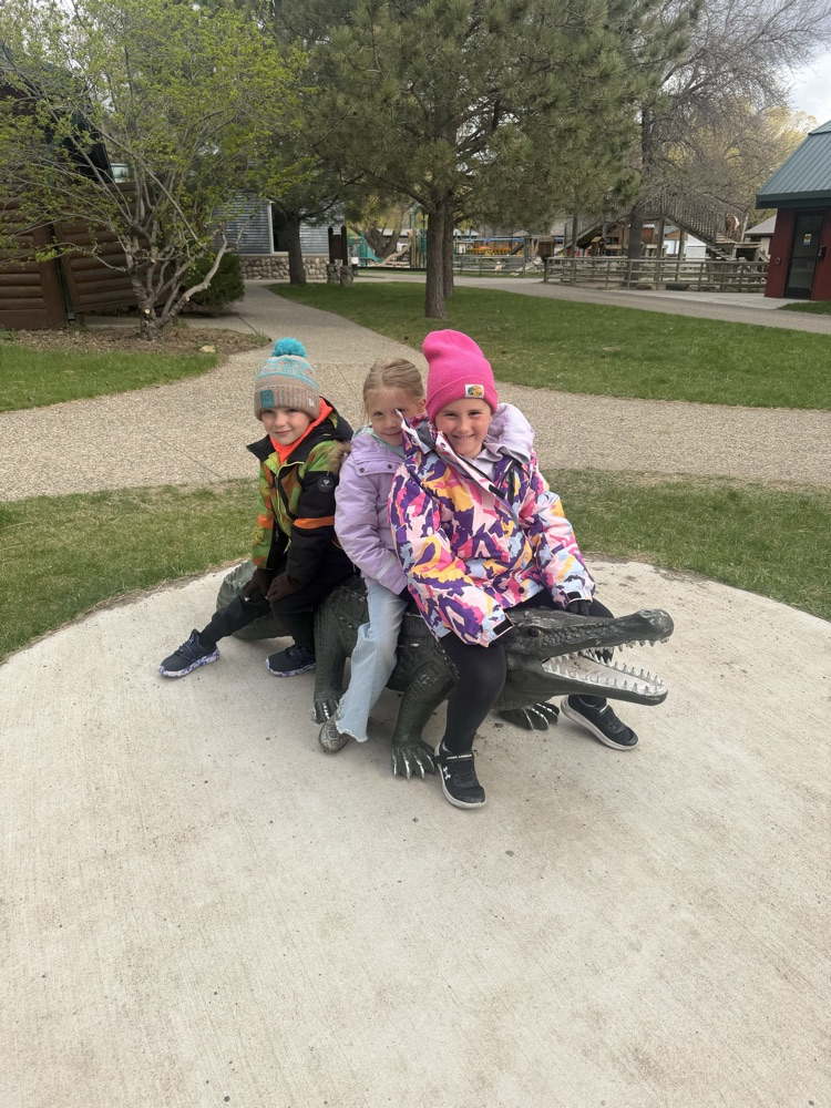 alligator