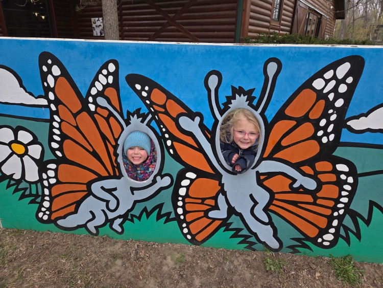butterflies