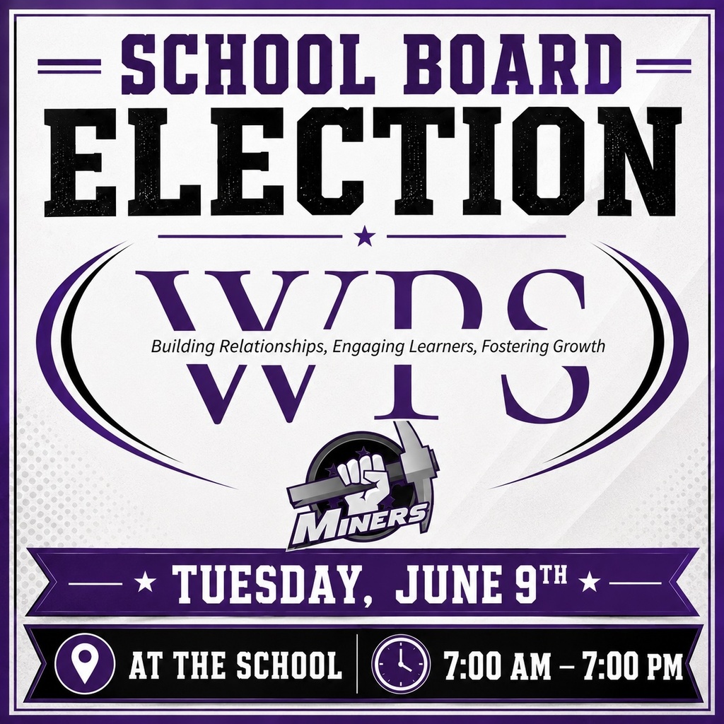 Election Flyer