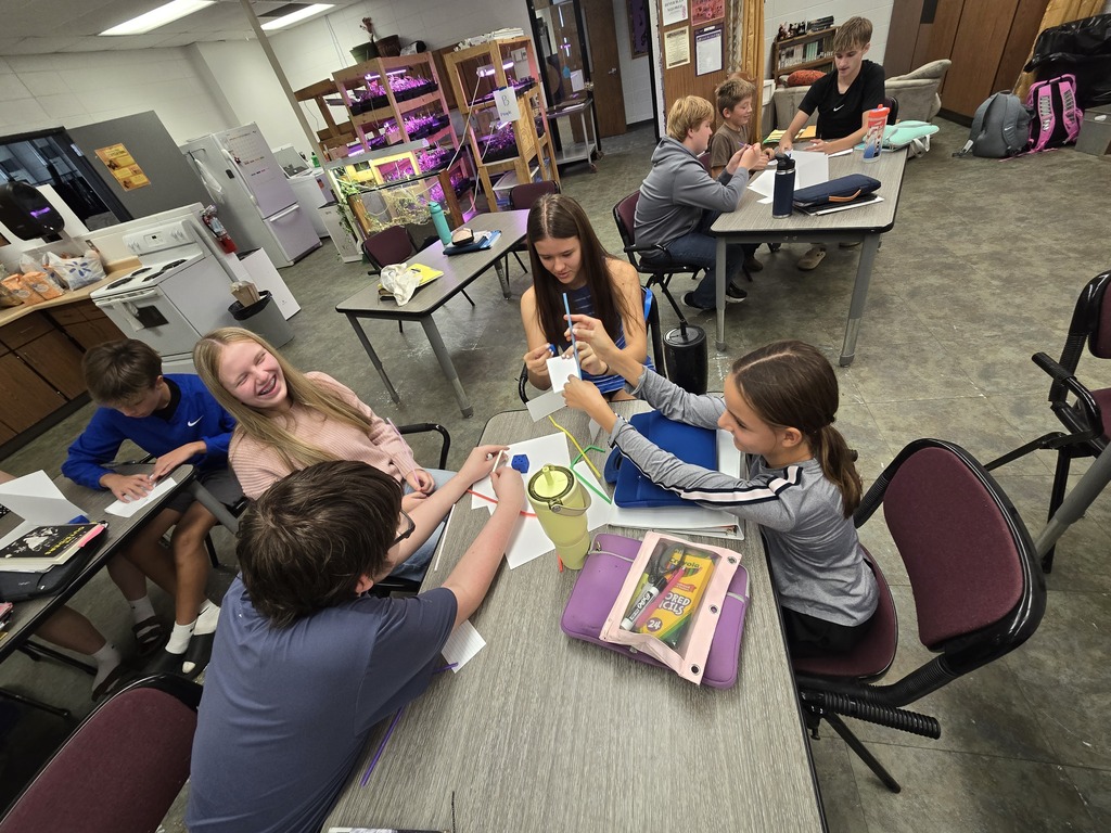 Team Building Activity