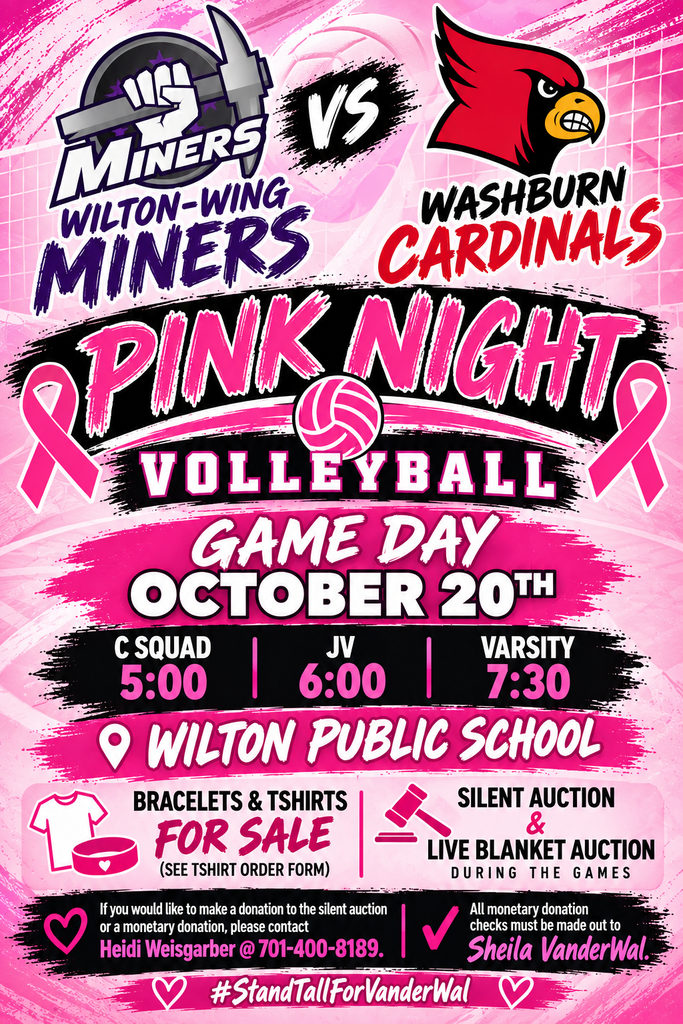 pink night poster