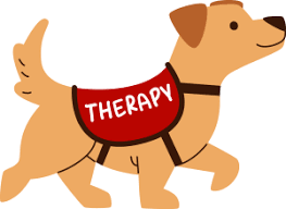 Therapy Dog