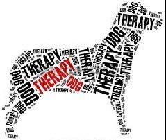 Therapy Dog