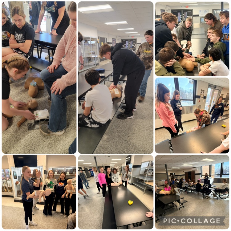 7th and 8th students