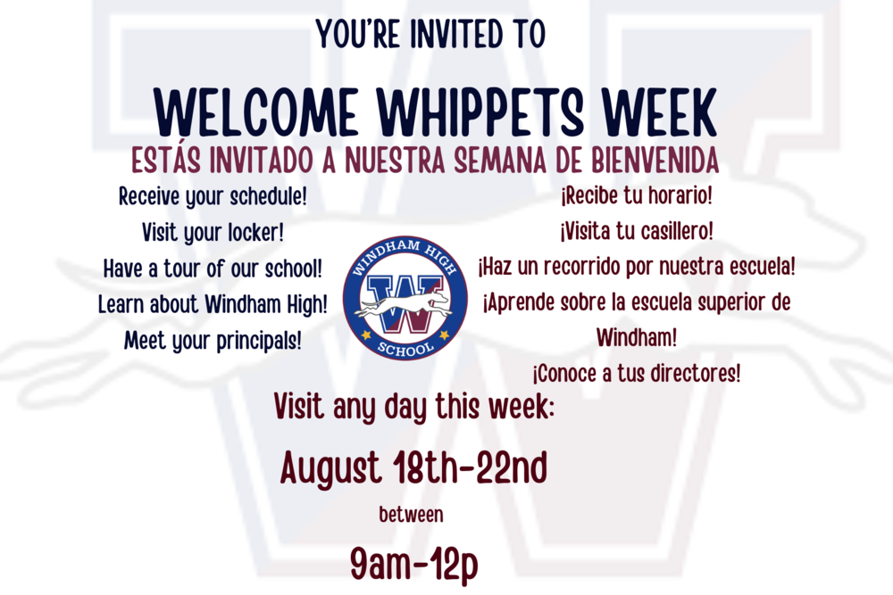 WB Whippets