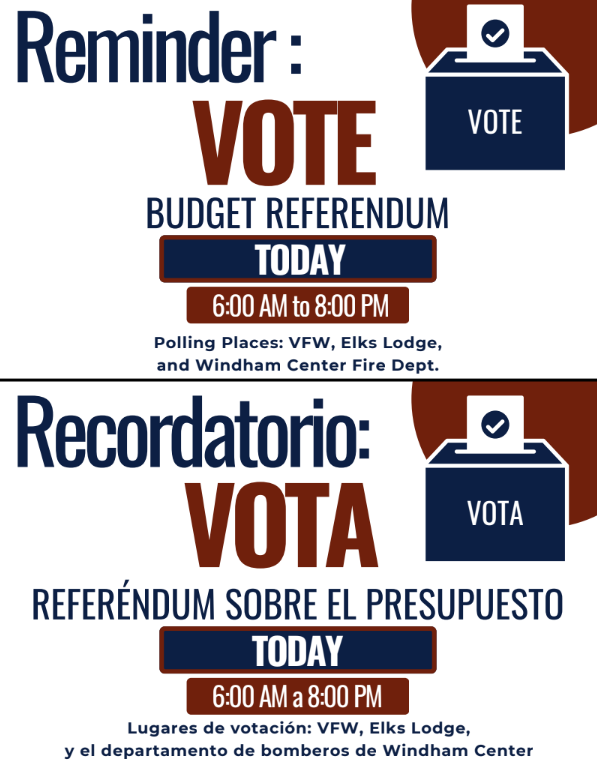 vote