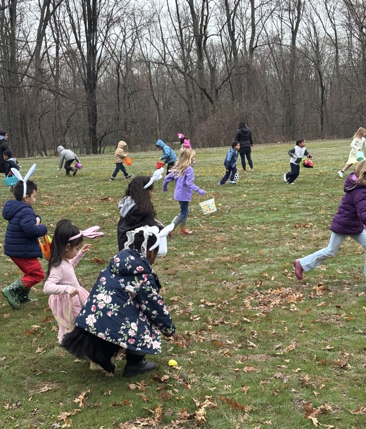 students collecting eggs in the field 