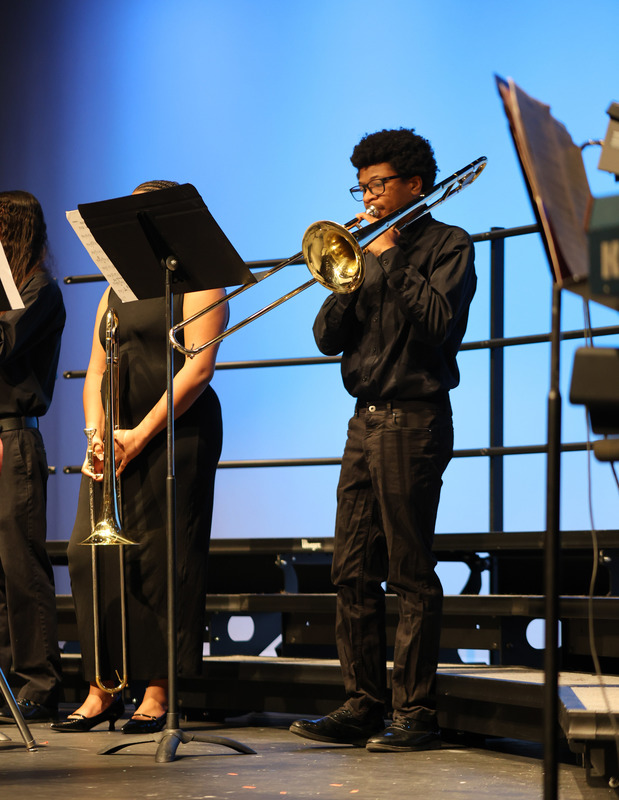 An orchestra member performing