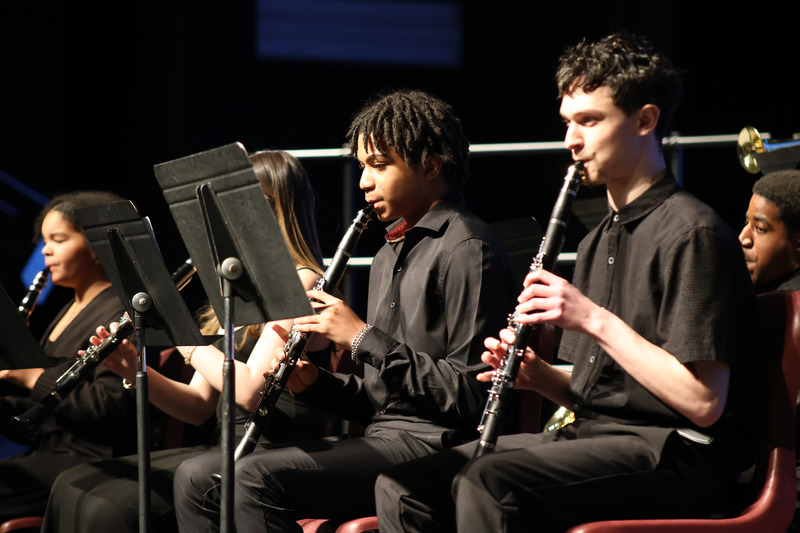 2 orchestra members performing
