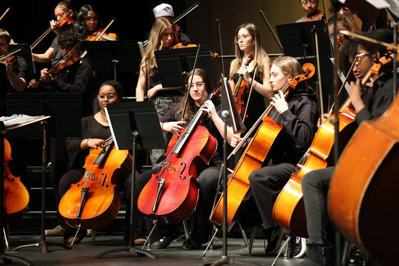 Orchestra - 5 violin players