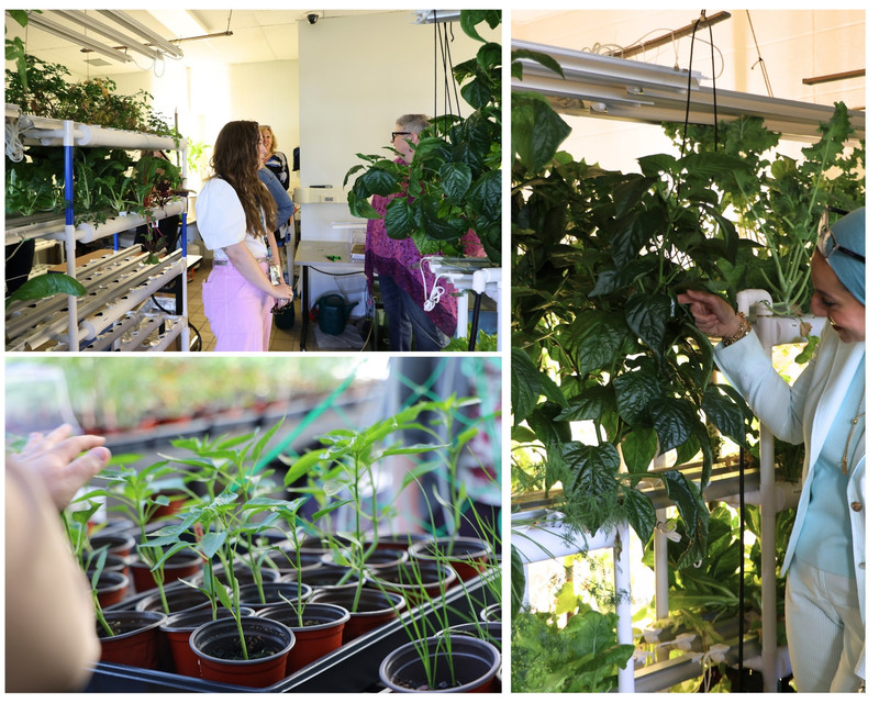 Mr. Oblon's greenhouse where students grow vegetables