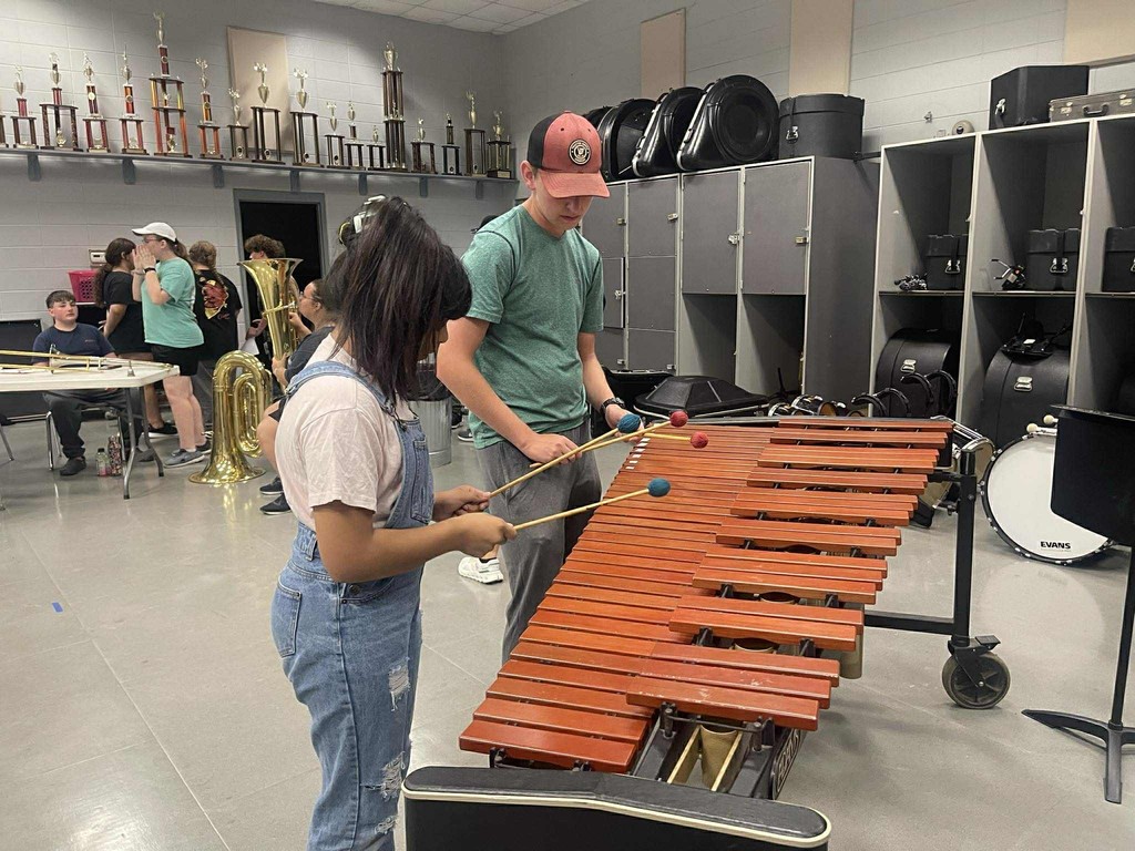 Instrument Zoo
