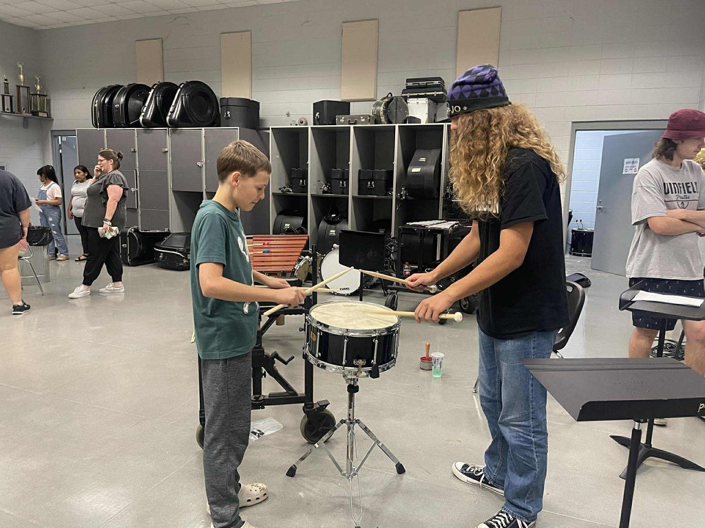 Instrument Zoo