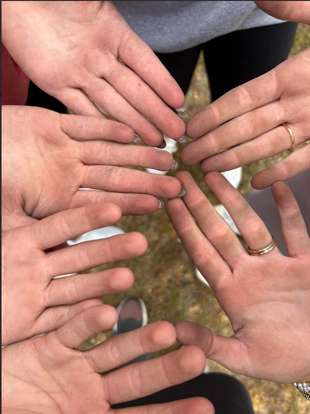 Basketball Christmas Lights