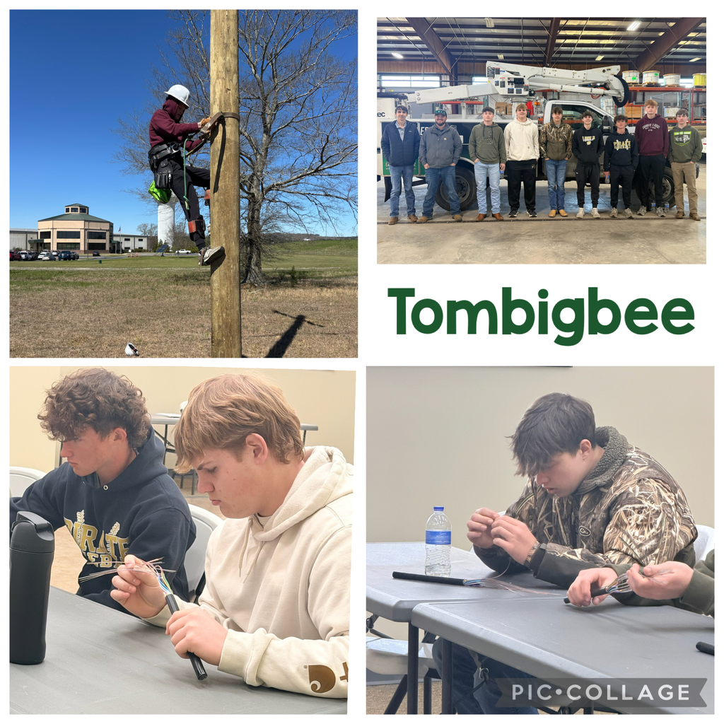 pictures of job shadowing