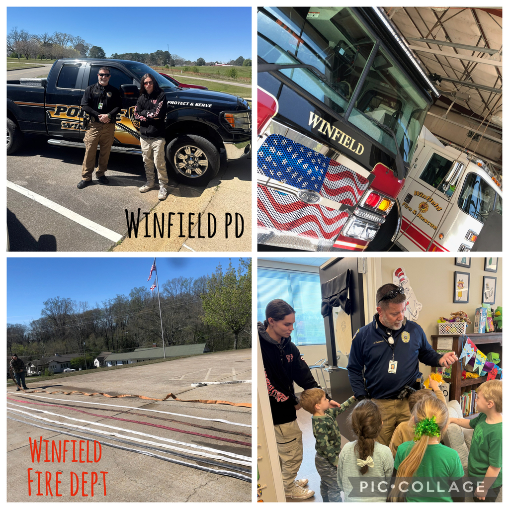 pictures of job shadowing