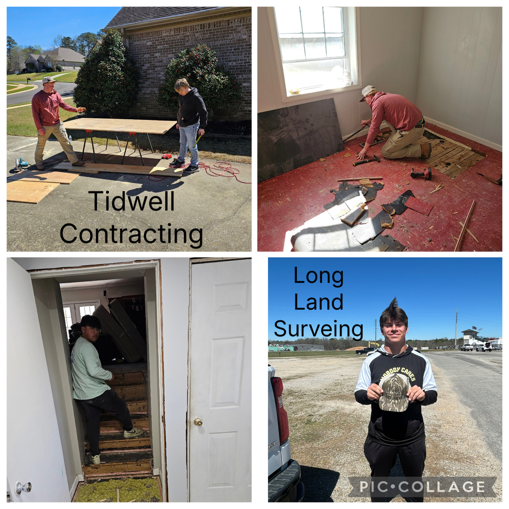 pictures of job shadowing