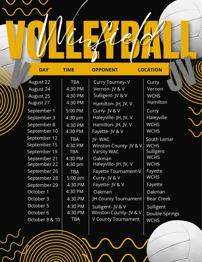v volleyball