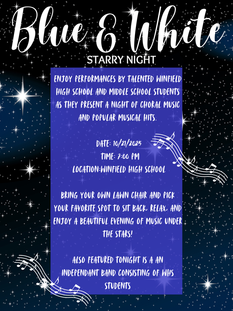 Blue & White Starry Night