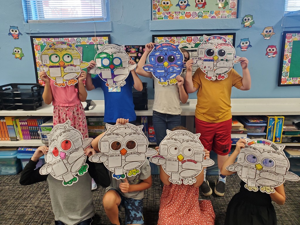 Owls