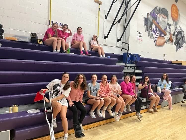 Volleyball Pink Night