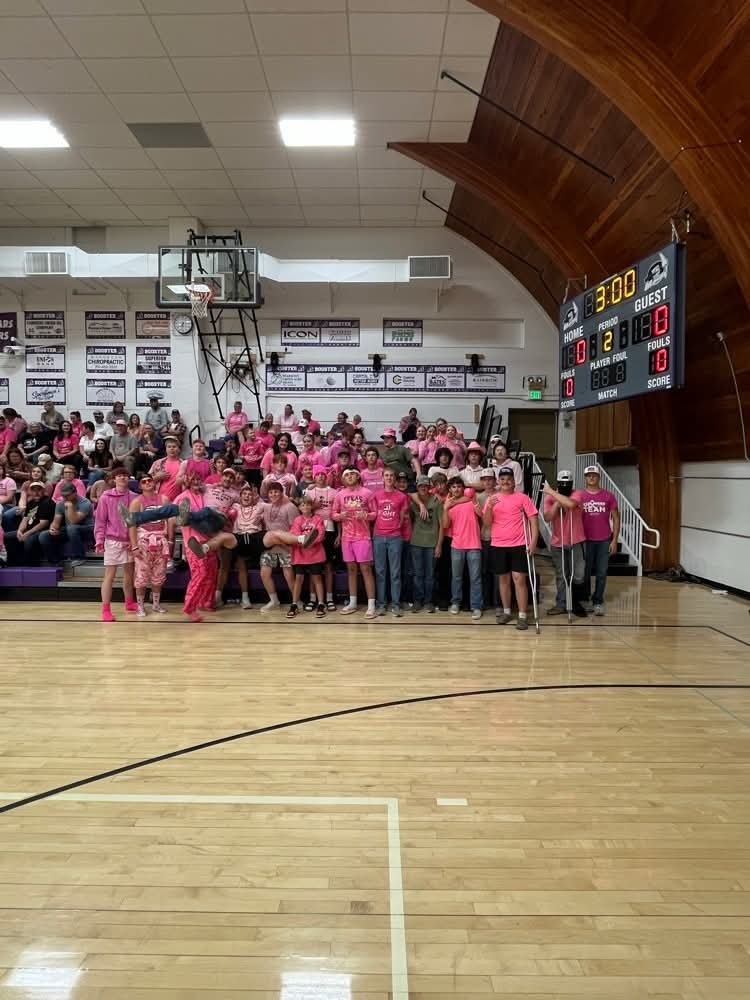 Volleyball Pink Night
