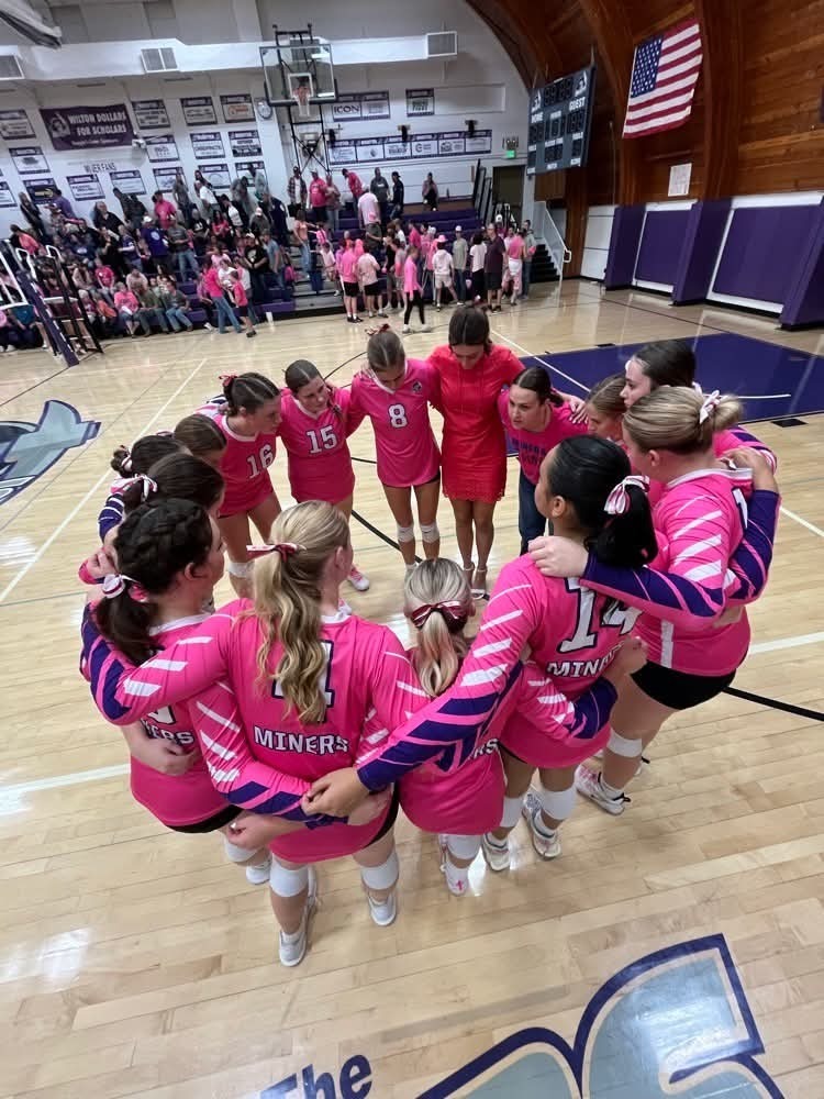 Volleyball Pink Night