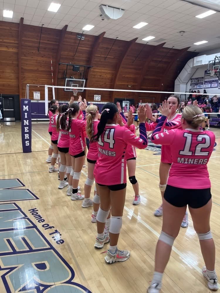 Volleyball Pink Night