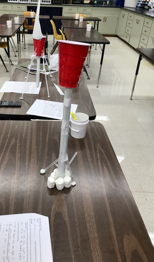 Biology Project