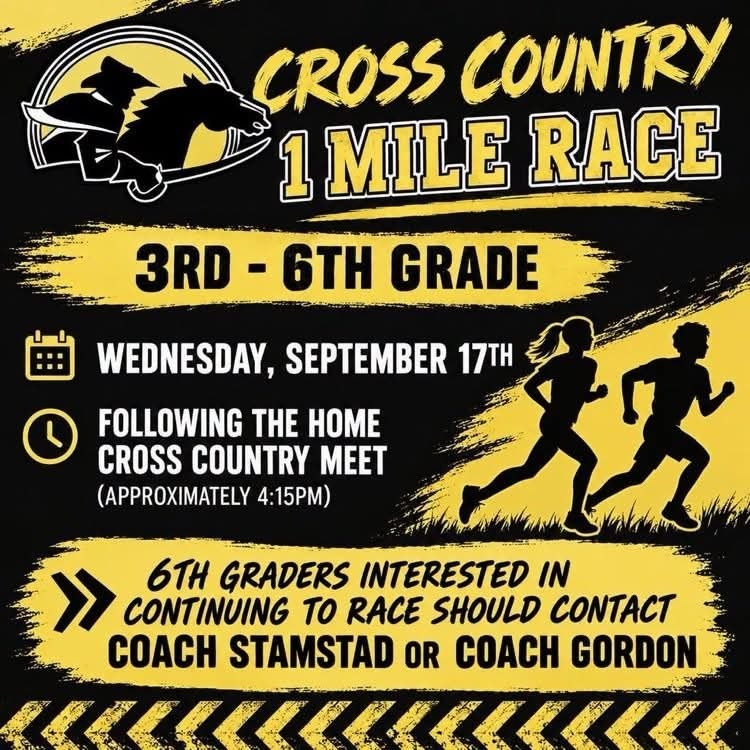 Cross country elementary race